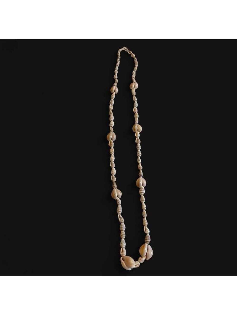 Vintage Cowrie and Spiral Shell Necklace
